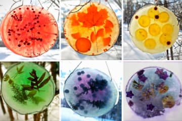 Frozen Sun Catchers