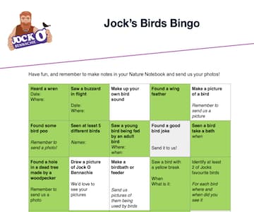 Jock’s Birds Bingo
