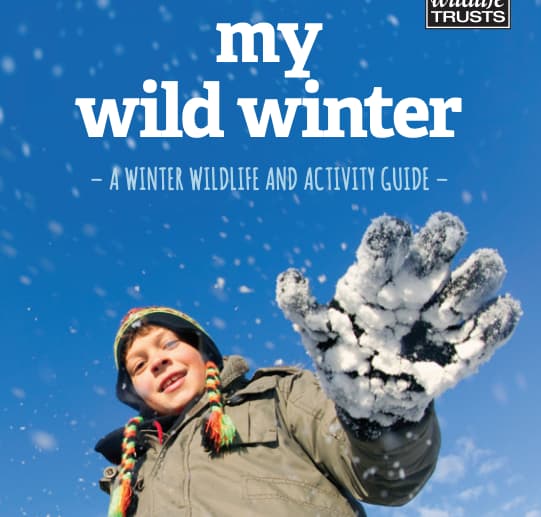 My Wild Winter - Activity Guide
