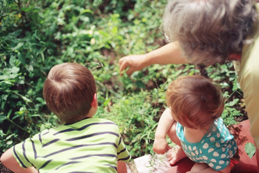 Vegetable Seeds To Sow In July